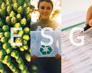 AI dla ESG: inteligentnie o zrównoważonym rozwoju